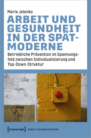 Arbeit und Gesundheit in der Spätmoderne von Jelenko,  Marie