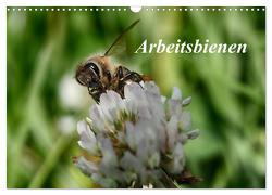 Arbeitsbienen (Wandkalender 2024 DIN A3 quer), CALVENDO Monatskalender von Kretschmann,  Klaudia