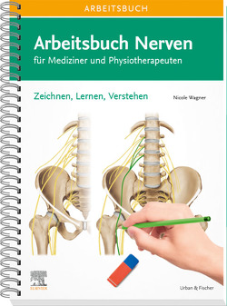 Arbeitsbuch Nerven von Wagner,  Nicole