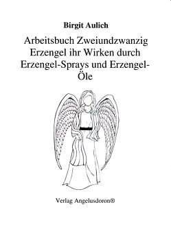 Arbeitsbuch Zweiundzwanzig Erzengel ihr Wirken durch Erzengel – Sprays und Erzengel – Öle von Aulich,  Birgit, Aulich,  David