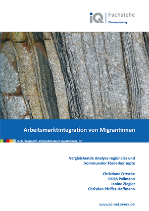 Arbeitsmarktintegration von Migrantinnen von Fritsche,  Christiane, Pallmann,  Ildikó, Pfeffer-Hoffmann,  Christian, Ziegler,  Janine