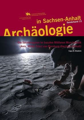 Archäologie in Sachsen-Anhalt / Die Saurierspuren im basalen Mittleren Muschelkalk (Anis, Mittel-Trias) von Bernburg (Sachsen-Anhalt) von Diedrich,  Cajus, Meller,  Harald