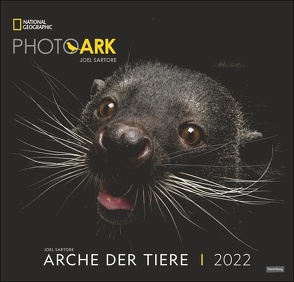 Arche der Tiere National Geographic Kalender 2022 von NAT GEO