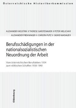 Arisierungen, beschlagnahmte Vermögen, Rückstellungen und Entschädigungen im Burgenland von Baumgartner,  Gerhard, Fennes,  Anton, Greifeneder,  Harald, Schinkovits,  Stefan, Tschögl,  Gerd, Wendelin,  Harald