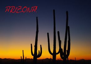 Arizona! (Posterbuch DIN A4 quer) von Del Luongo,  Claudio