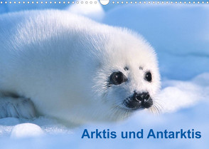 Arktis und Antarktis (Wandkalender 2023 DIN A3 quer) von / Michael DeFreitas,  McPHOTO