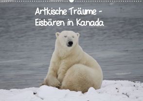 Arktische Träume – Eisbären in Kanada (Posterbuch DIN A2 quer) von Scheu,  Thilo