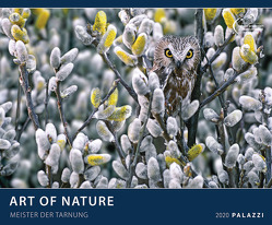 Art of Nature 2020 von PALAZZI, Wolfe,  Art