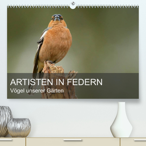 Artisten in Federn – Vögel unserer Gärten (Premium, hochwertiger DIN A2 Wandkalender 2022, Kunstdruck in Hochglanz) von Krebs,  Alexander