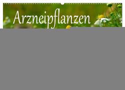 Arzneipflanzen (Wandkalender 2024 DIN A2 quer), CALVENDO Monatskalender von LianeM,  LianeM