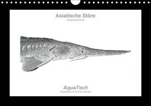 Asiatische Störe (Acipenseridae): Fisch als Kunst (Wandkalender immerwährend DIN A4 quer) von Vecsei,  Paul