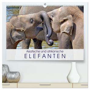 Asiatische und afrikanische Elefanten (hochwertiger Premium Wandkalender 2024 DIN A2 quer), Kunstdruck in Hochglanz von Stanzer,  Elisabeth