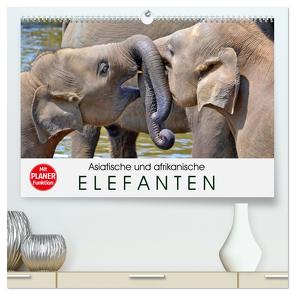 Asiatische und afrikanische Elefanten (hochwertiger Premium Wandkalender 2024 DIN A2 quer), Kunstdruck in Hochglanz von Stanzer,  Elisabeth