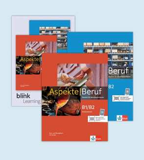 Aspekte Beruf B1/B2 und B2 – Media Bundle von Gerhard,  Corinna, Koithan,  Ute, Mayr-Sieber,  Tanja, Pohlschmidt,  Anna, Schmitz,  Helen, Schwieger,  Bettina, Sonntag,  Ralf, Weber,  Britta