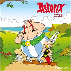 Asterix 2023 – Wand-Kalender – Broschüren-Kalender – 30×30 – 30×60 geöffnet – Cartoon von Uderzo,  Albert