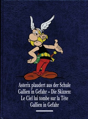 Asterix Gesamtausgabe 12 von Berner,  Horst, Goscinny,  René, Jöken,  Klaus, Uderzo,  Albert, Walz,  Michael