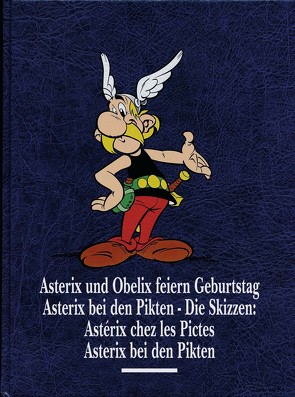 Asterix Gesamtausgabe 13 von Berner,  Horst, Conrad,  Didier, Ferri,  Jean-Yves, Goscinny,  René, Jöken,  Klaus, Penndorf,  Gudrun, Uderzo,  Albert