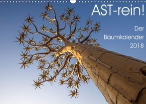 Astrein! – Der Baumkalender 2018 (Wandkalender 2018 DIN A3 quer) von van der Wiel,  Irma