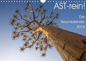 Astrein! – Der Baumkalender 2018 (Wandkalender 2018 DIN A4 quer) von van der Wiel,  Irma