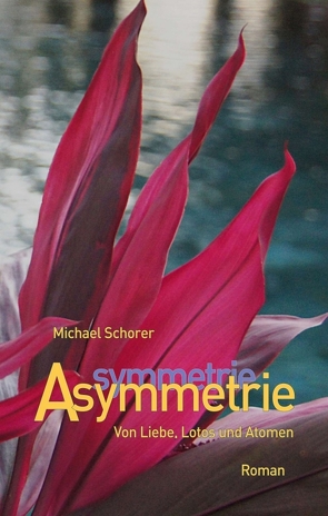 Asymmetrie von Schorer,  Michael