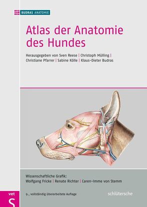 Atlas der Anatomie des Hundes von BUDRAS ANATOMIE