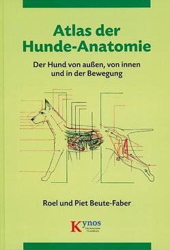 Atlas der Hundeanatomie von Beute-Faber,  H J