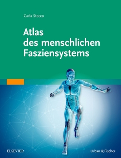 Atlas des menschlichen Fasziensystems von Stecco,  Carla