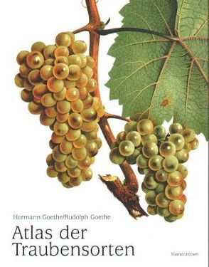 Atlas Traubensorten von Goethe,  Hermann, Goethe,  Rudolf