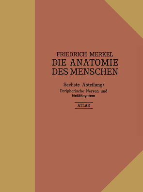 Atlas zu Peripherische Nerven und Gefäßsystem von Merkel,  Friedrich