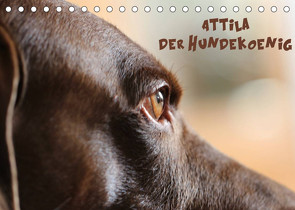 Attila, Der Hundekönig (Tischkalender 2023 DIN A5 quer) von Hultsch,  Heike