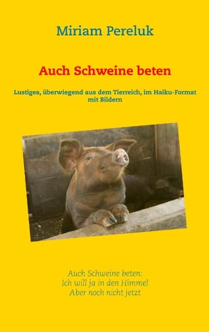 Auch Schweine beten von Pereluk,  Miriam
