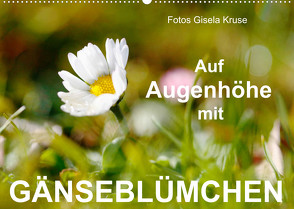 Auf Augenhöhe mit Gänseblümchen (Wandkalender 2023 DIN A2 quer) von Kruse,  Gisela