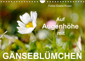 Auf Augenhöhe mit Gänseblümchen (Wandkalender 2023 DIN A4 quer) von Kruse,  Gisela