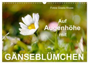 Auf Augenhöhe mit Gänseblümchen (Wandkalender 2024 DIN A3 quer), CALVENDO Monatskalender von Kruse,  Gisela