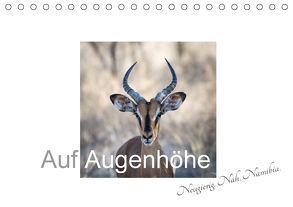 Auf Augenhöhe – Neugierig. Nah. Namibia. (Tischkalender 2018 DIN A5 quer) von van der Wiel,  Irma