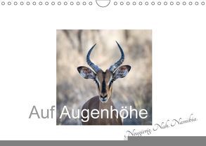 Auf Augenhöhe – Neugierig. Nah. Namibia. (Wandkalender 2018 DIN A4 quer) von van der Wiel,  Irma