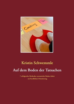 Auf dem Boden der Tatsachen von Schwemmle,  Kristin