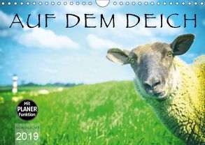 AUF DEM DEICH (Wandkalender 2019 DIN A4 quer) von NORDLICHT