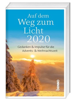 Auf dem Weg zum Licht 2020 von Reichelt,  Bettine