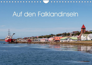 Auf den Falklandinseln (Wandkalender 2023 DIN A4 quer) von Berlin, Schoen,  Andreas