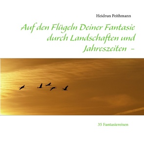 Auf den Flügeln Deiner Fantasie durch Landschaften und Jahreszeiten von Peithmann,  Heidrun