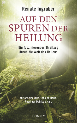 Auf den Spuren der Heilung von Ingruber,  Renate