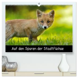 Auf den Spuren der Stadtfüchse (hochwertiger Premium Wandkalender 2024 DIN A2 quer), Kunstdruck in Hochglanz von Krämer,  Antonia