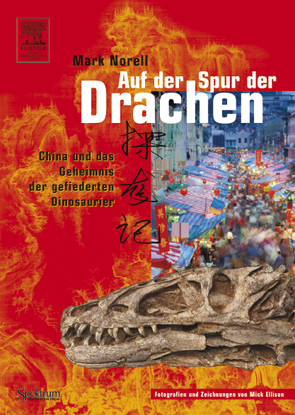 Auf der Spur der Drachen von Ellison,  Mick, Niehaus,  Monika, Norell,  Mark