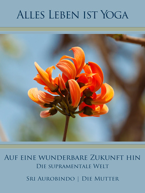 Auf eine wunderbare Zukunft hin von Aurobindo,  Sri, Mutter,  Die (d.i. Mira Alfassa)