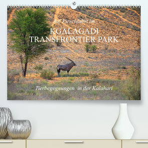 Auf Pirschfahrt im Kgalagadi Transfrontier Park (hochwertiger Premium Wandkalender 2024 DIN A2 quer), Kunstdruck in Hochglanz von Werner Altner,  Dr.