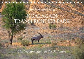 Auf Pirschfahrt im Kgalagadi Transfrontier Park (Tischkalender 2024 DIN A5 quer), CALVENDO Monatskalender von Werner Altner,  Dr.