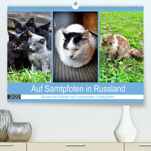 Auf Samtpfoten in Russland – Museums-Katzen auf russischen Landgütern (Premium, hochwertiger DIN A2 Wandkalender 2022, Kunstdruck in Hochglanz) von von Loewis of Menar,  Henning