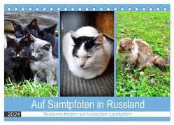 Auf Samtpfoten in Russland – Museums-Katzen auf russischen Landgütern (Tischkalender 2024 DIN A5 quer), CALVENDO Monatskalender von von Loewis of Menar,  Henning