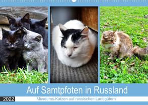 Auf Samtpfoten in Russland – Museums-Katzen auf russischen Landgütern (Wandkalender 2022 DIN A2 quer) von von Loewis of Menar,  Henning